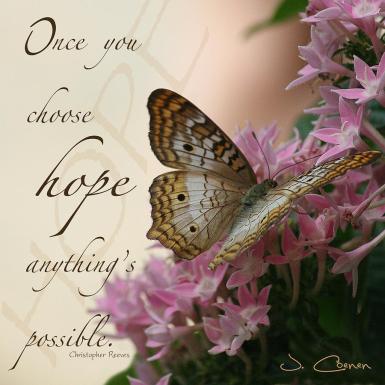 hope-butterfly-jane-coenen